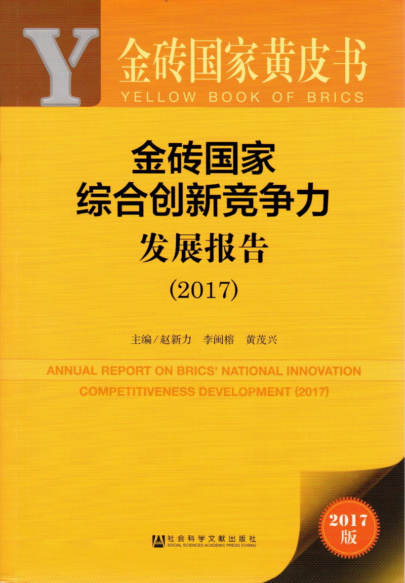 黄色视频男生操女生视频免费观看射出白色金砖国家综合创新竞争力发展报告（2017）